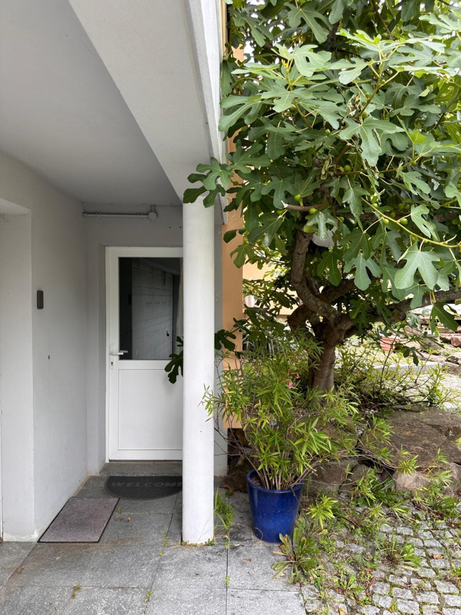 Chambre Privative Au Rez De Jardin Dans Villa La Wantzenau Extérieur photo